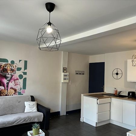 Spacieux, Climatise, Quartier Calme, Proche Chateau, Le Cocon De Joy Carcassonne Zewnętrze zdjęcie