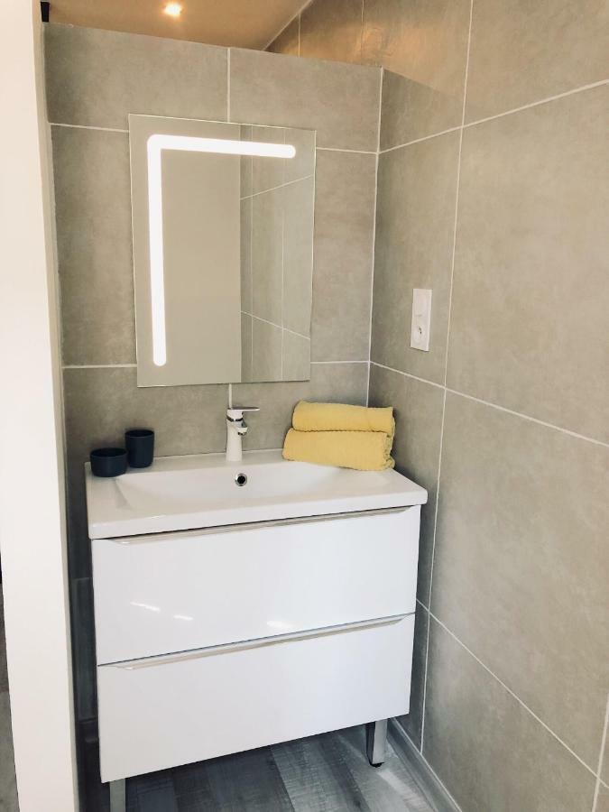 Spacieux, Climatise, Quartier Calme, Proche Chateau, Le Cocon De Joy Carcassonne Zewnętrze zdjęcie